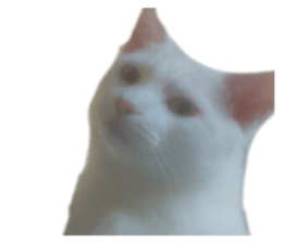 621438384