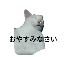 621438386