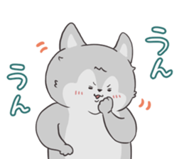 621461571