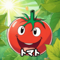 621480877