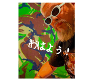 621499959