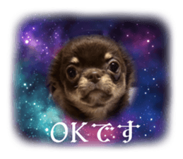 621539763