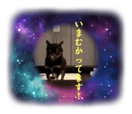 621539773