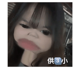 621552652