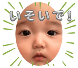 621556050