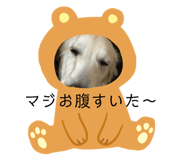 62158682