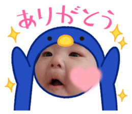 621593552