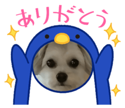 621613288