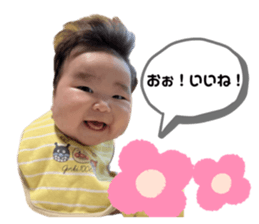 621631310