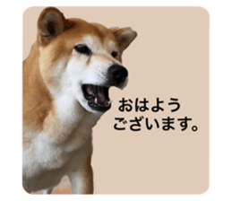 621682749