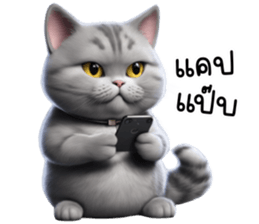 621720368