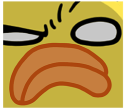 621725086