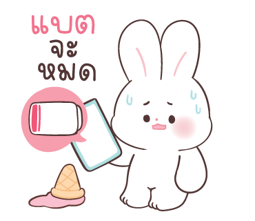 ลายที่ 24