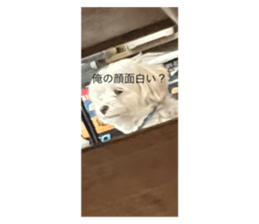 621752409