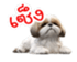 621770482