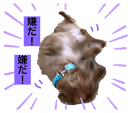 621821948