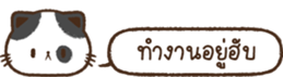 621826313
