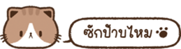 621826324