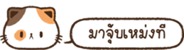621826339
