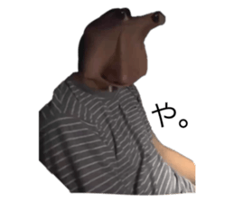 621870560