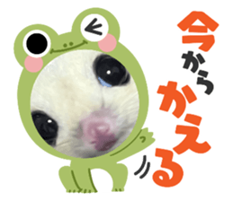 621878485