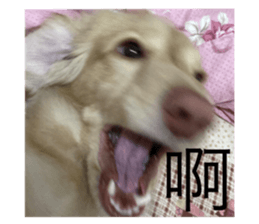 621979177