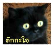 621986188