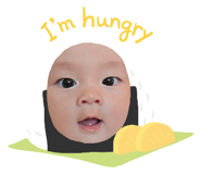 622023810