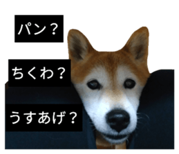 62213947