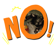 622140646