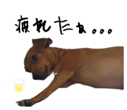 622150835