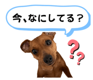 622150836