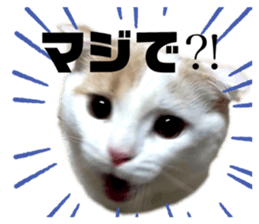 622152210