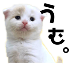 622152216