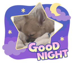 622155086