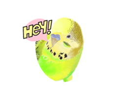 622156705