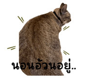 622157665