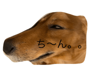 622157680