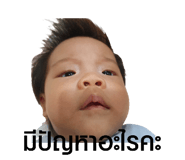 622180246