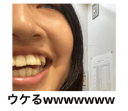 622218455