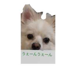 622220225