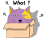 622274402