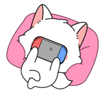 622306631