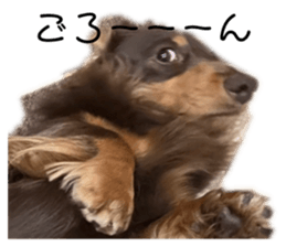 622307163