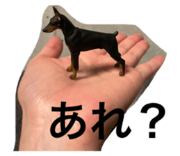 622308763