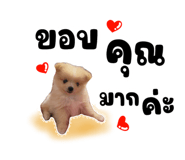 622312440
