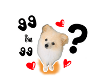 622312456