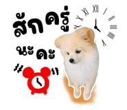 622312460