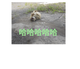 622325096
