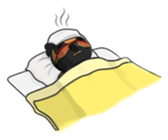 6223375
